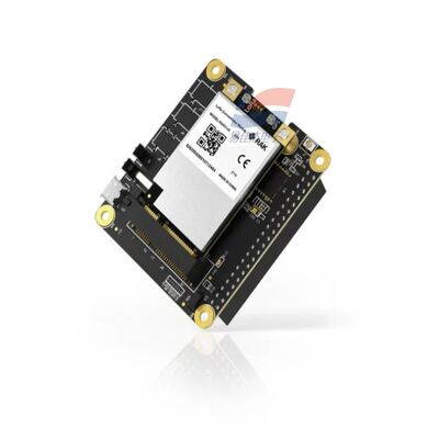 YJJ RAK5146 PiHAT Concentrator Module Suitable for LoRaWAN for Sensor Data Collection