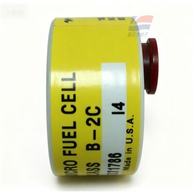 YJJ C06689-B2C Class B-2C 0-10ppm Trace Oxygen Sensor for Semiconductor Electronic Manufacturing